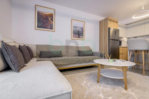 Living room, Seating area, air conditioner