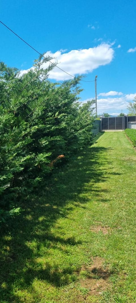 Anzoli 1 Bed and Breakfast in Montenegro