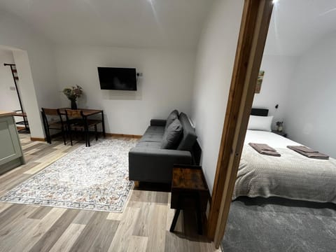 Bed, TV and multimedia, Living room, Photo of the whole room, Seating area, Bedroom