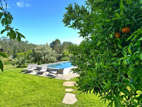 Garden, Swimming pool, sunbed