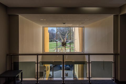 RR apartamentai Palangoje 3 Apartment in Palanga