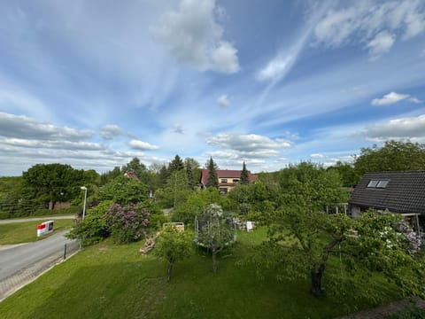 Natural landscape, Garden, Garden view