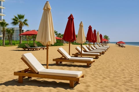 Natural landscape, Summer, Beach