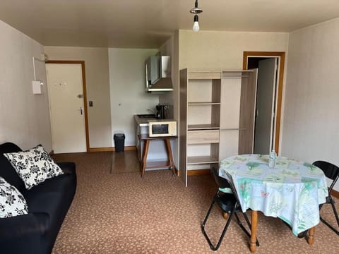 Grand studio proche commerces Apartment in Vosges