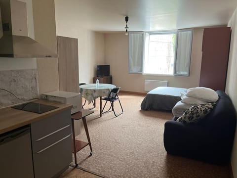 Grand studio proche commerces Apartment in Vosges