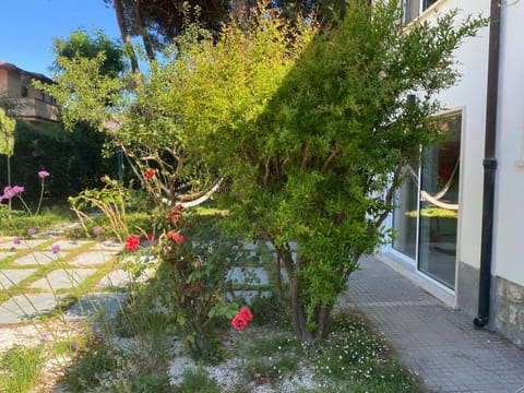 Property building, Garden