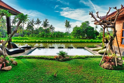 Garden, View (from property/room), Swimming pool