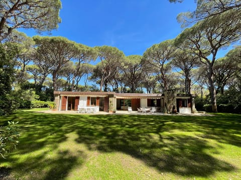 Property building, Garden, Garden view