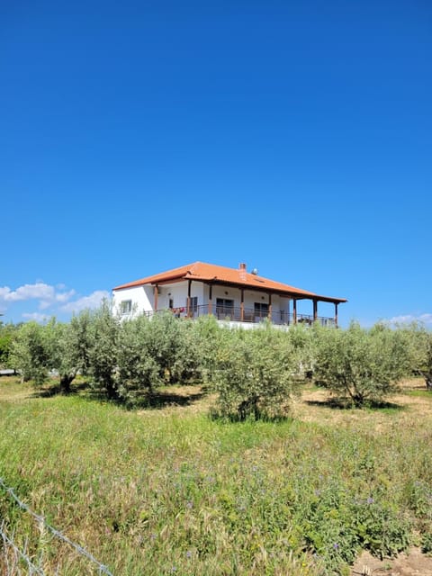 Property building, Natural landscape, Garden, Garden view