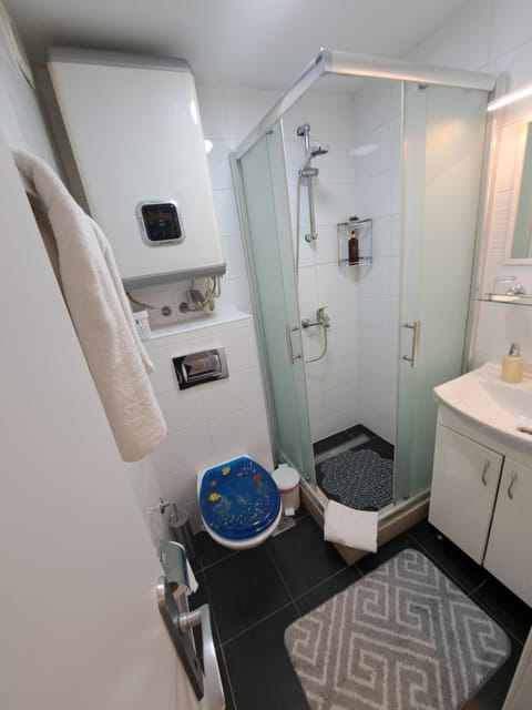 Shower, Toilet, Bathroom, towels