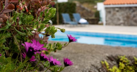 Spring, Garden, Garden view, Pool view, Swimming pool