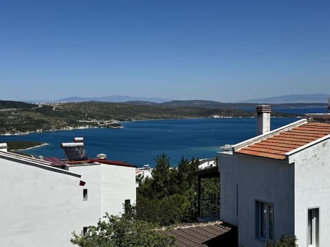Day, Sea view