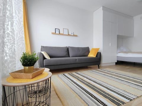 Asunto Siltavahti jokinäkymällä Apartment in Finland