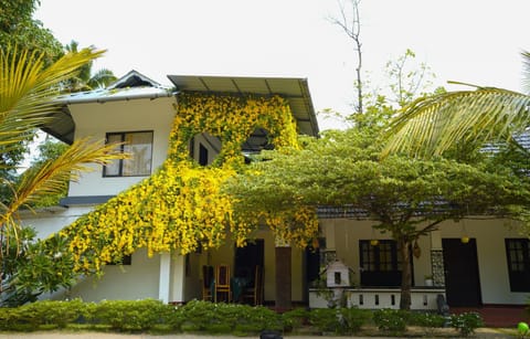 Property building, Day, Garden
