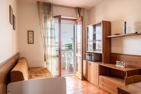 Living room, Decorative detail, microwave, oven