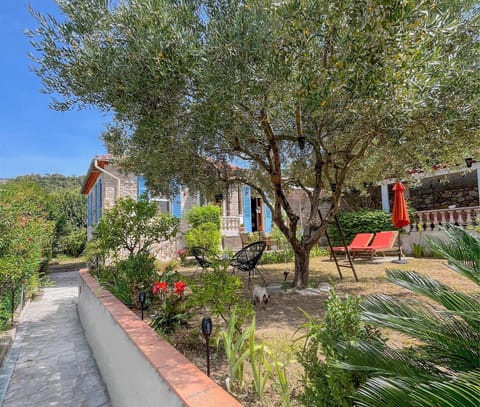 Property building, Garden, Garden, Garden view, Garden view
