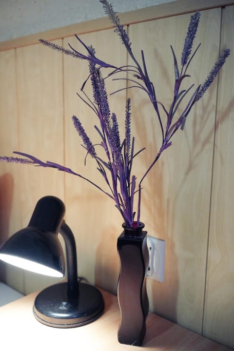 Lawendowe Studio Apartment in Pomeranian Voivodeship