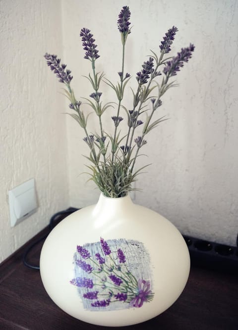 Lawendowe Studio Apartment in Pomeranian Voivodeship