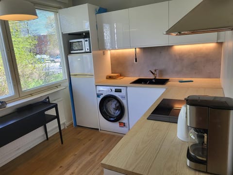 Kitchen or kitchenette, oven, washing machine