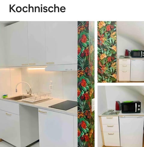 25m2 Studio with Kitchen in Zürich Apartment in Zurich City