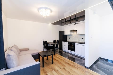 Kitchen or kitchenette, Living room, Seating area, Dining area, stove