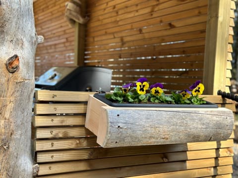 Minivilla Lapland Villa in Finland