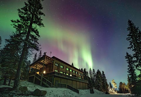Property building, Night, Natural landscape, Winter