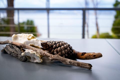 Blissful Birchs Bay - Gorgeous 3 Bedroom House House in Tasmania