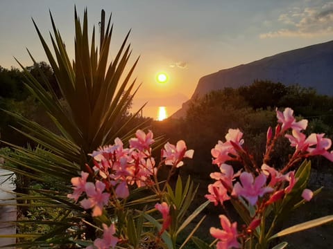 Lulù - Il "Vecchio Geco" B&b in Maratea House in Maratea
