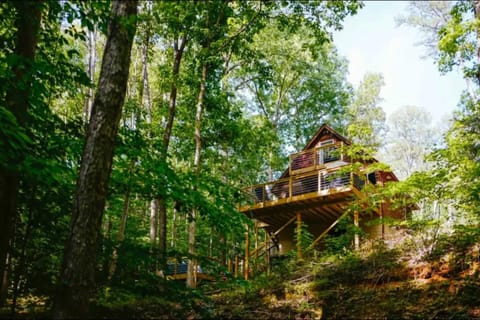 Romantic Cabin, Hot Tub, Lake Access, OutdoorLiving! Cabin in Lake Hartwell