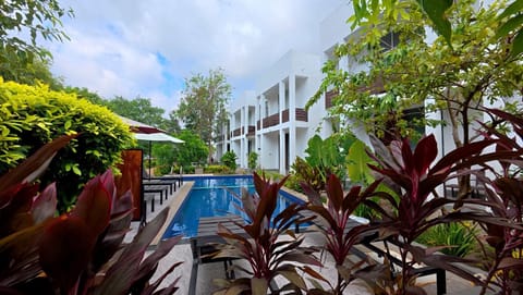 Garden, Swimming pool