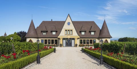 Property building, Garden view