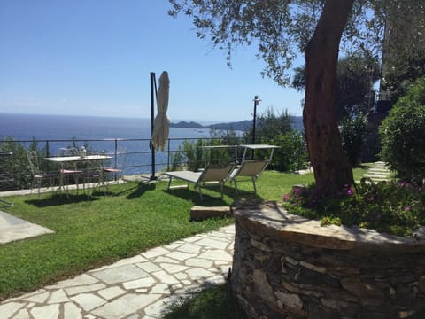 Nearby landmark, Spring, Day, Natural landscape, Garden, Garden view, Lake view, Sea view