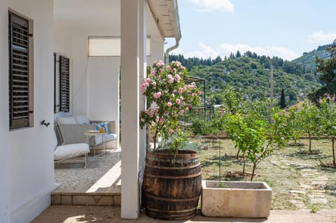 Patio, Natural landscape, Garden, Garden view