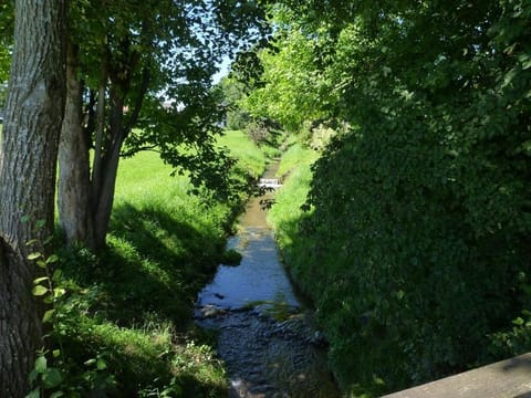Ferienwohnungen Lärchennest zwischen Chiemsee und Bergen Apartment in Grassau