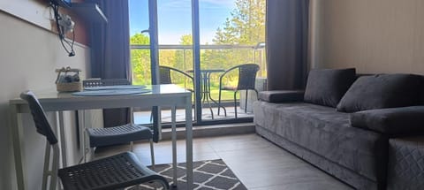 Balcony/Terrace, Living room, Seating area