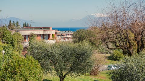 Day, Natural landscape, Garden