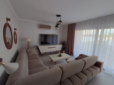 TV and multimedia, Living room, Seating area, air conditioner