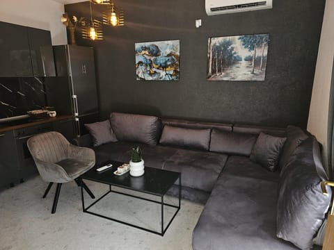Living room, Seating area, air conditioner