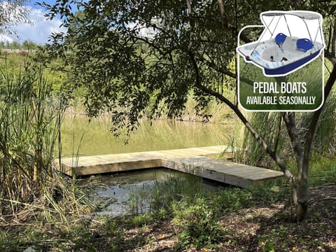 The Lodges at Eden Reserve - Pet Friendly Cabins Near Ark Cabin in Williamstown