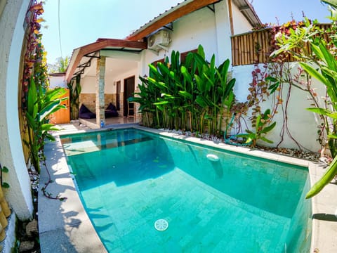 Property building, Day, Garden, Garden view, Pool view, Swimming pool
