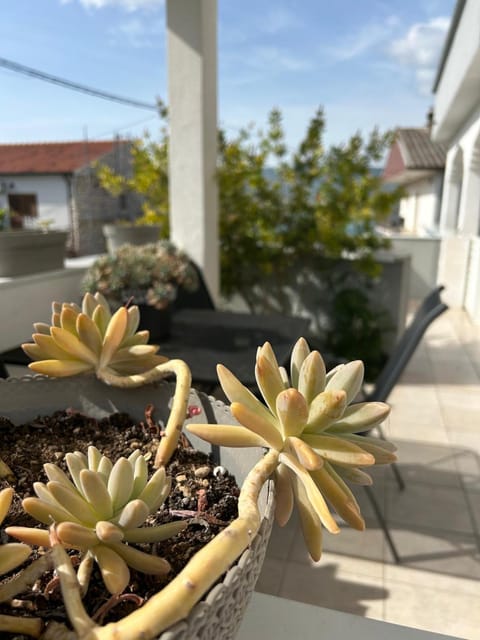 Day, Garden, Balcony/Terrace, Garden view