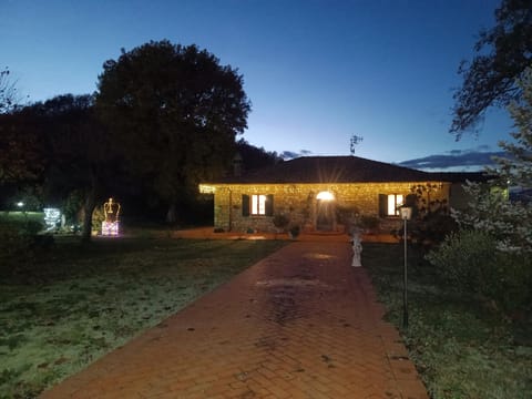 Night, Garden, Garden view