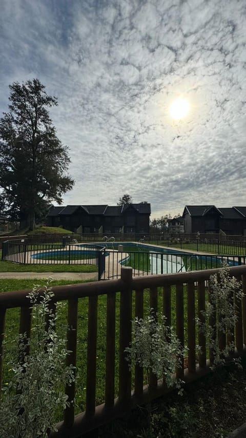 Garden, Pool view, Swimming pool
