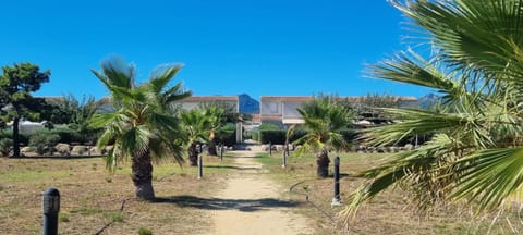 Natural landscape, Garden view