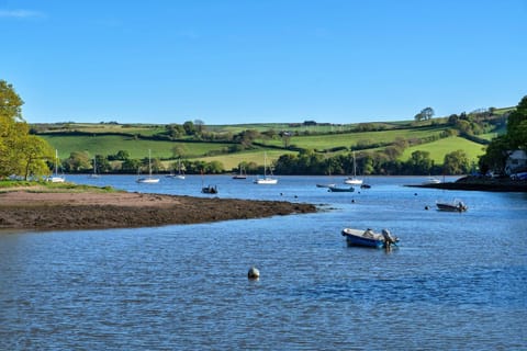 Patio, Garden, Garden view