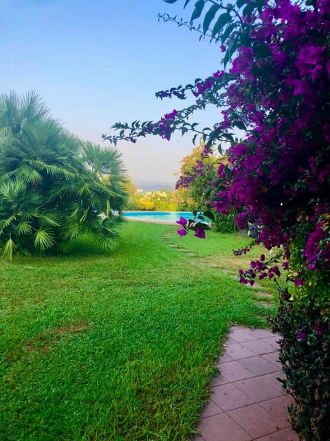 Garden, Swimming pool