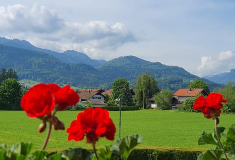 Ferienwohnungen Eibl Apartment in Salzburgerland
