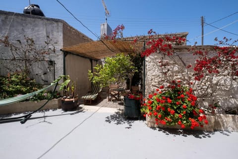 Spring, Day, Garden, Garden, Garden view