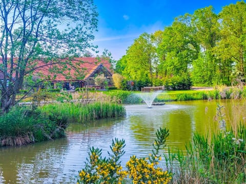 Day, Natural landscape, Lake view